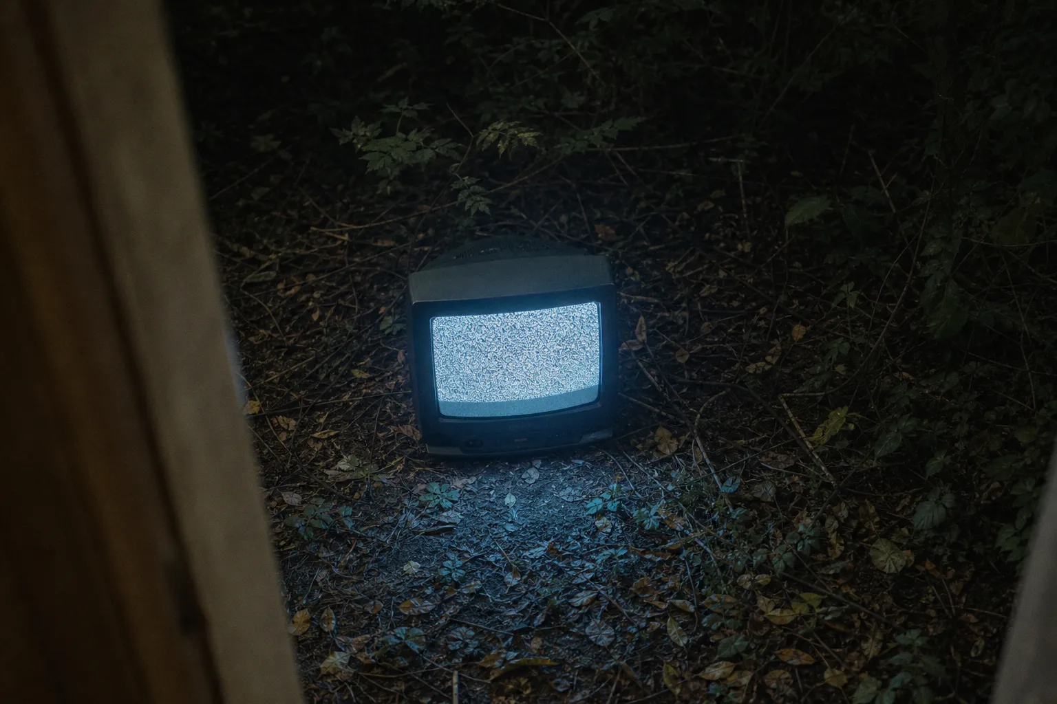 New TV series with aliens: what our screening test revealed